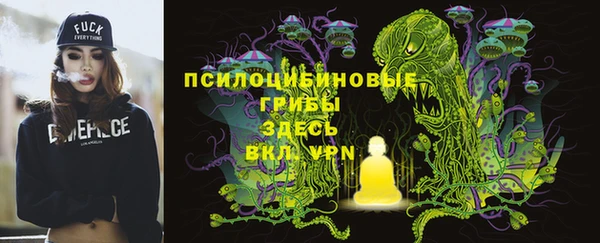 стаф Алзамай