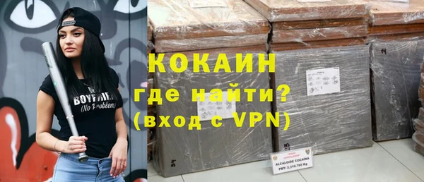 стаф Алзамай