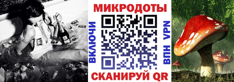 купить наркотик  Карабаш  Псилоцибиновые грибы ЛСД 